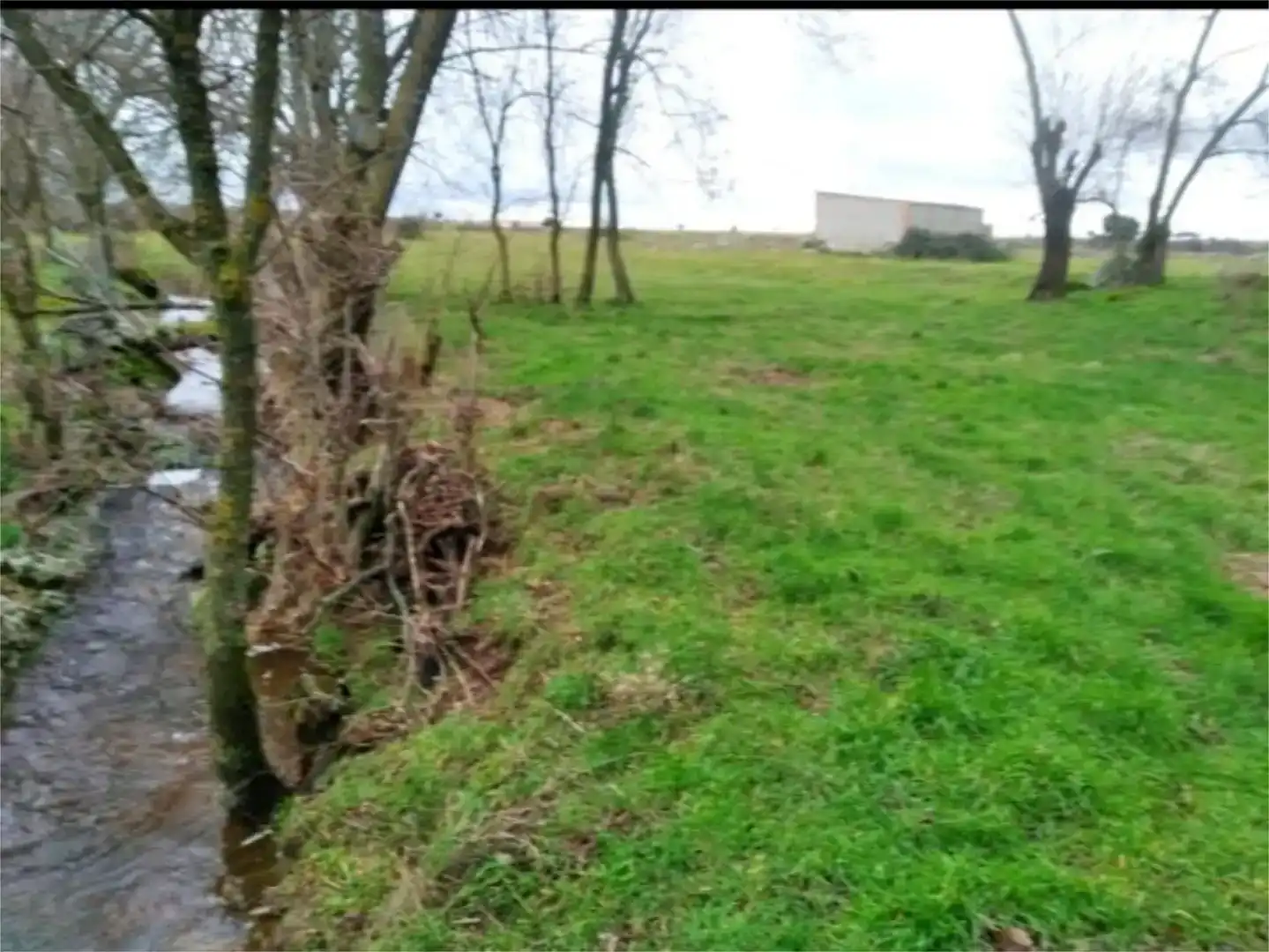 Terreno en venta en Brieva