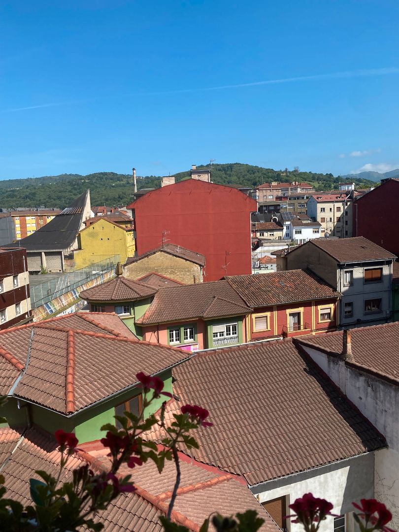 Vista exterior de Dúplex en venda en Langreo amb Calefacció i Moblat