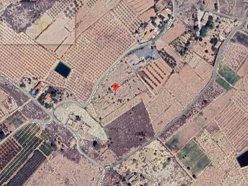 Grundstücke zur Miete in Elche / Elx