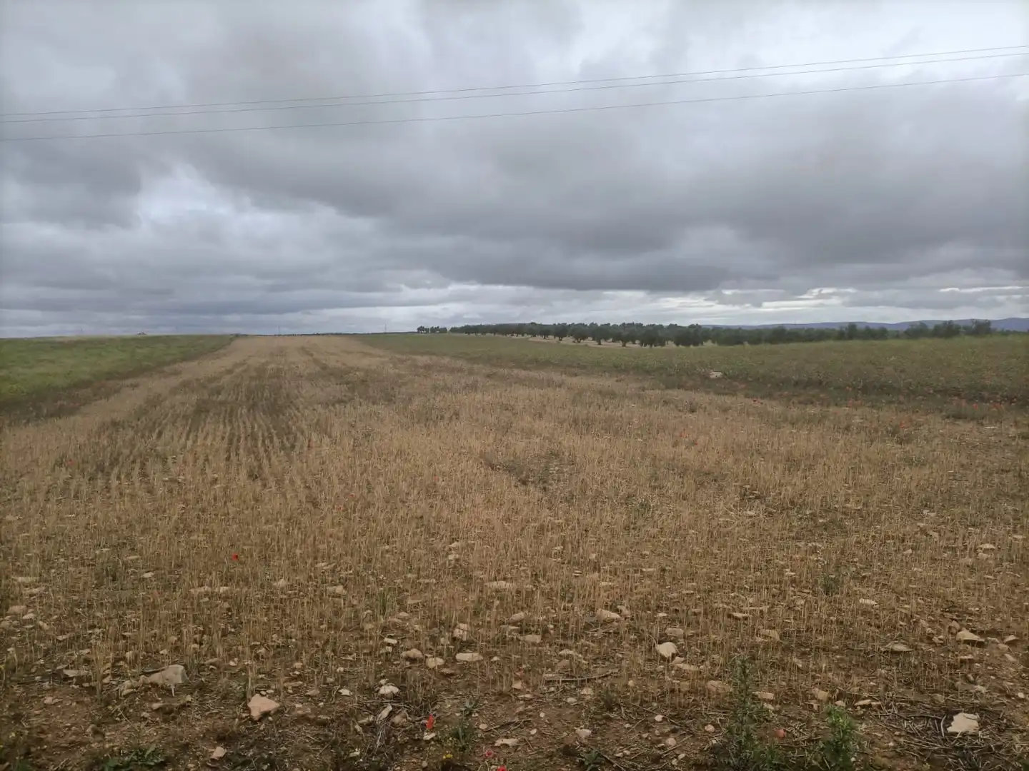 Terrenys i solars en venda a Mora, imagen 6