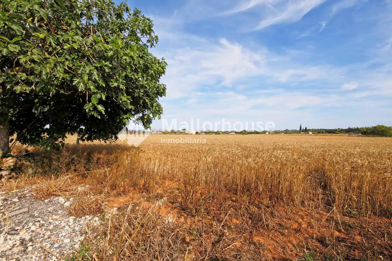 Lands and plots for sale in Polígono 10, imagen 2