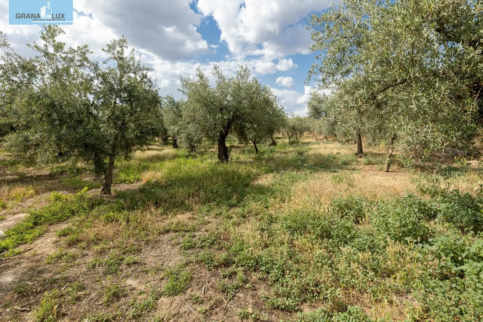 Terreno rustico in vendita a Calle POL 1, PARC 176, imagen 3