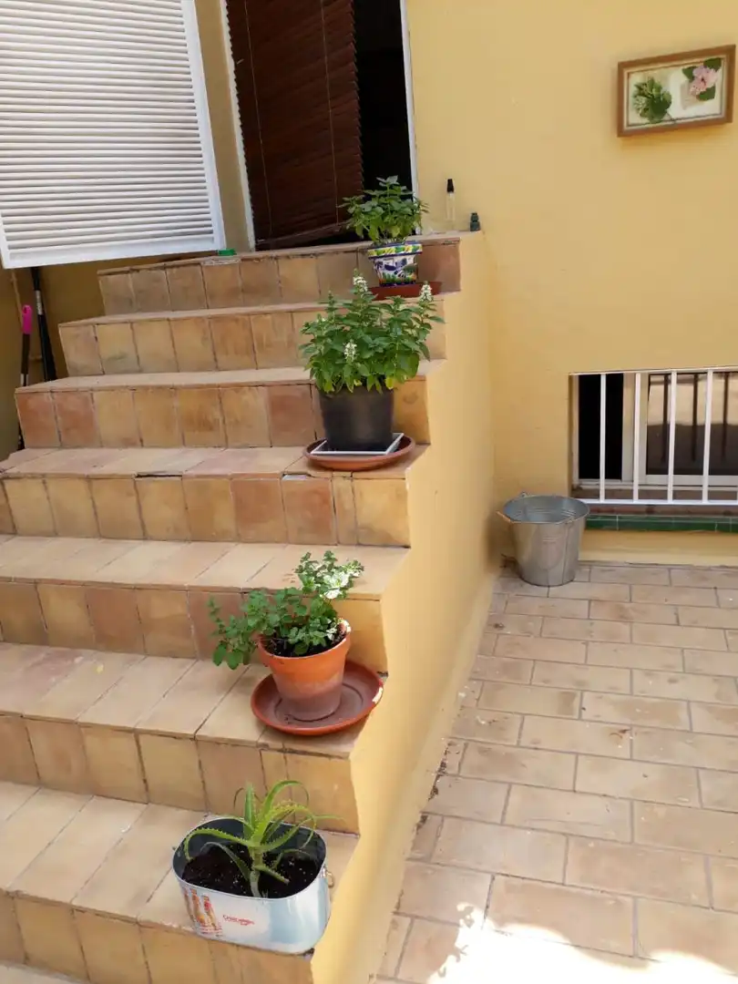 Terrassa de Casa o xalet de lloguer en Mairena del Aljarafe amb Aire condicionat i Terrassa