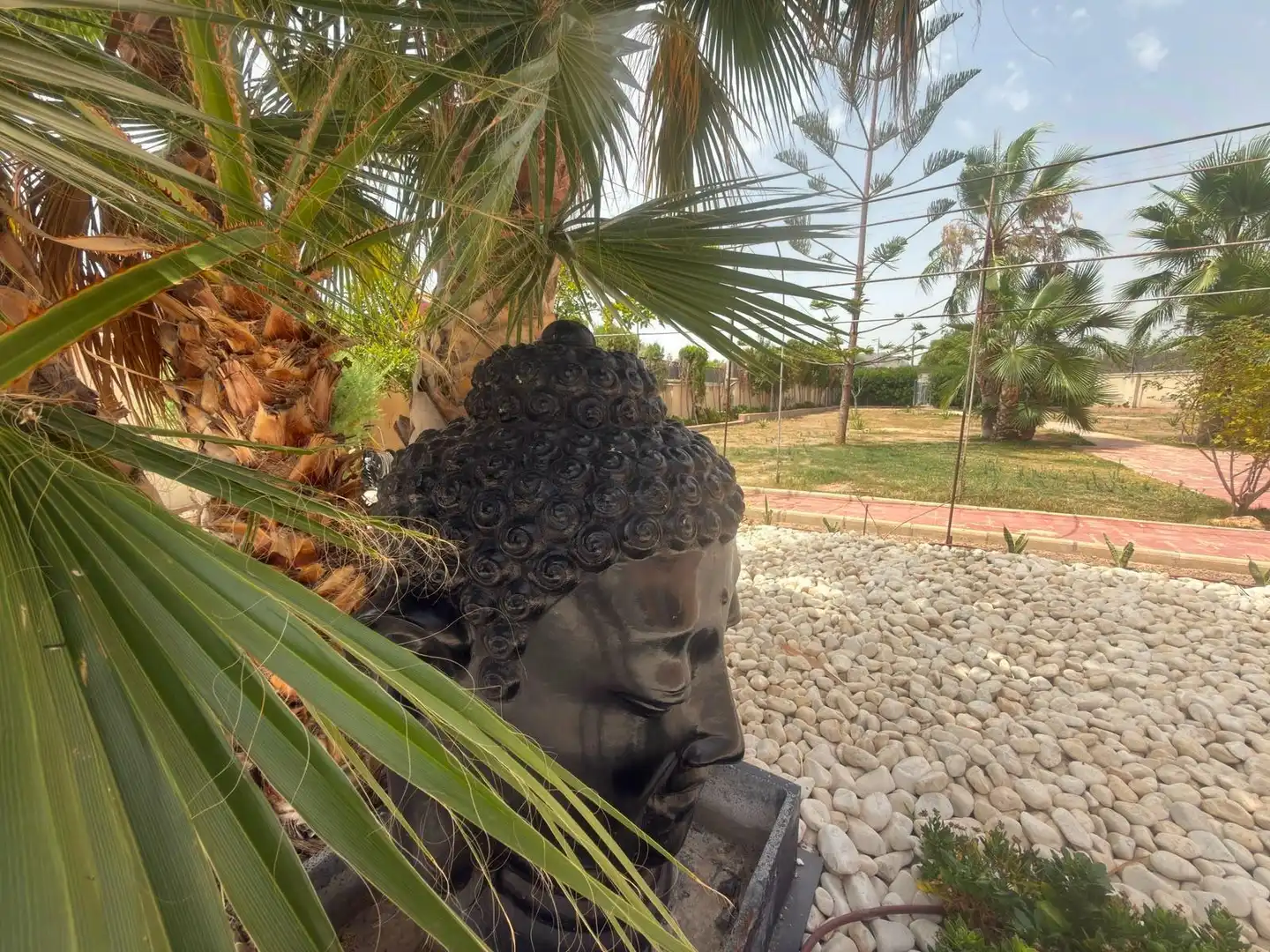 Jardí de Casa o xalet en venda en Alicante / Alacant amb Aire condicionat, Calefacció i Jardí privat