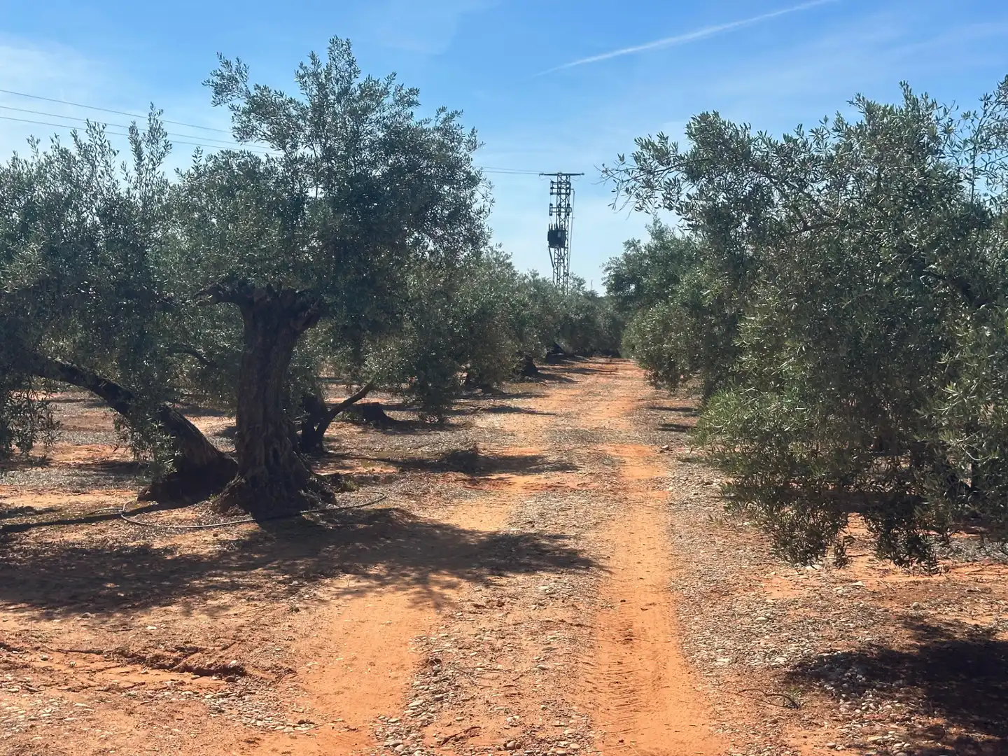 Land for sale in Villanueva de la Reina