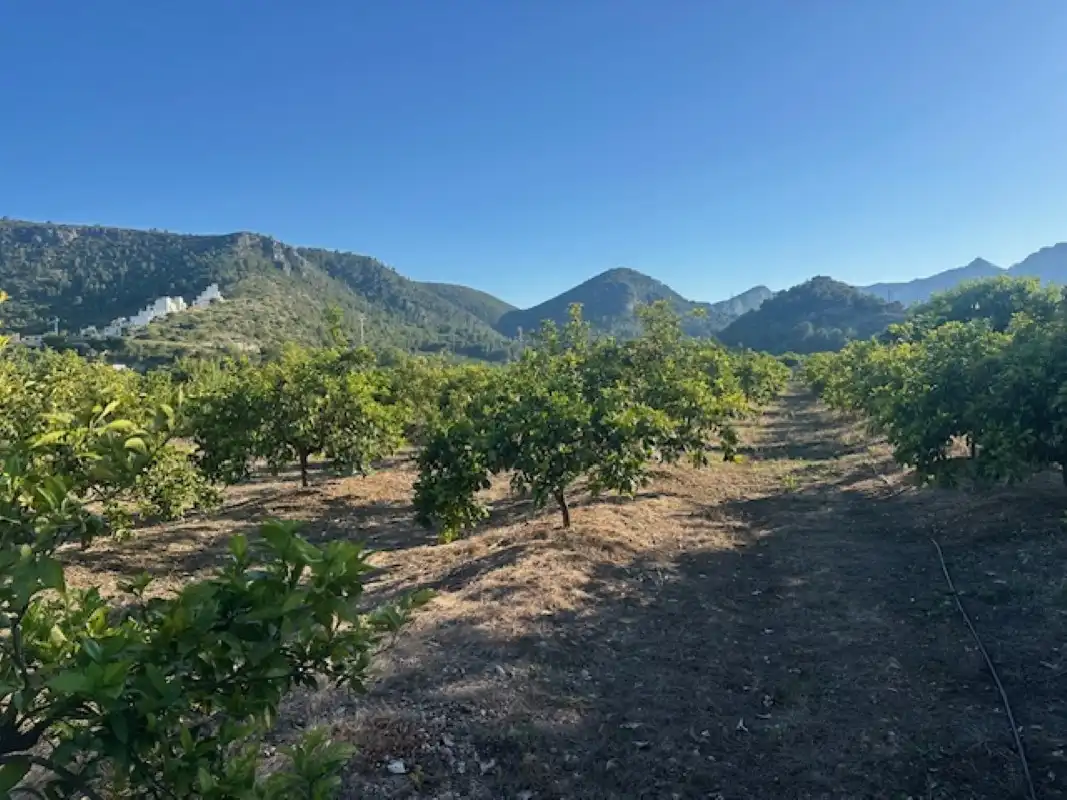 Terreno en venta en Xeresa