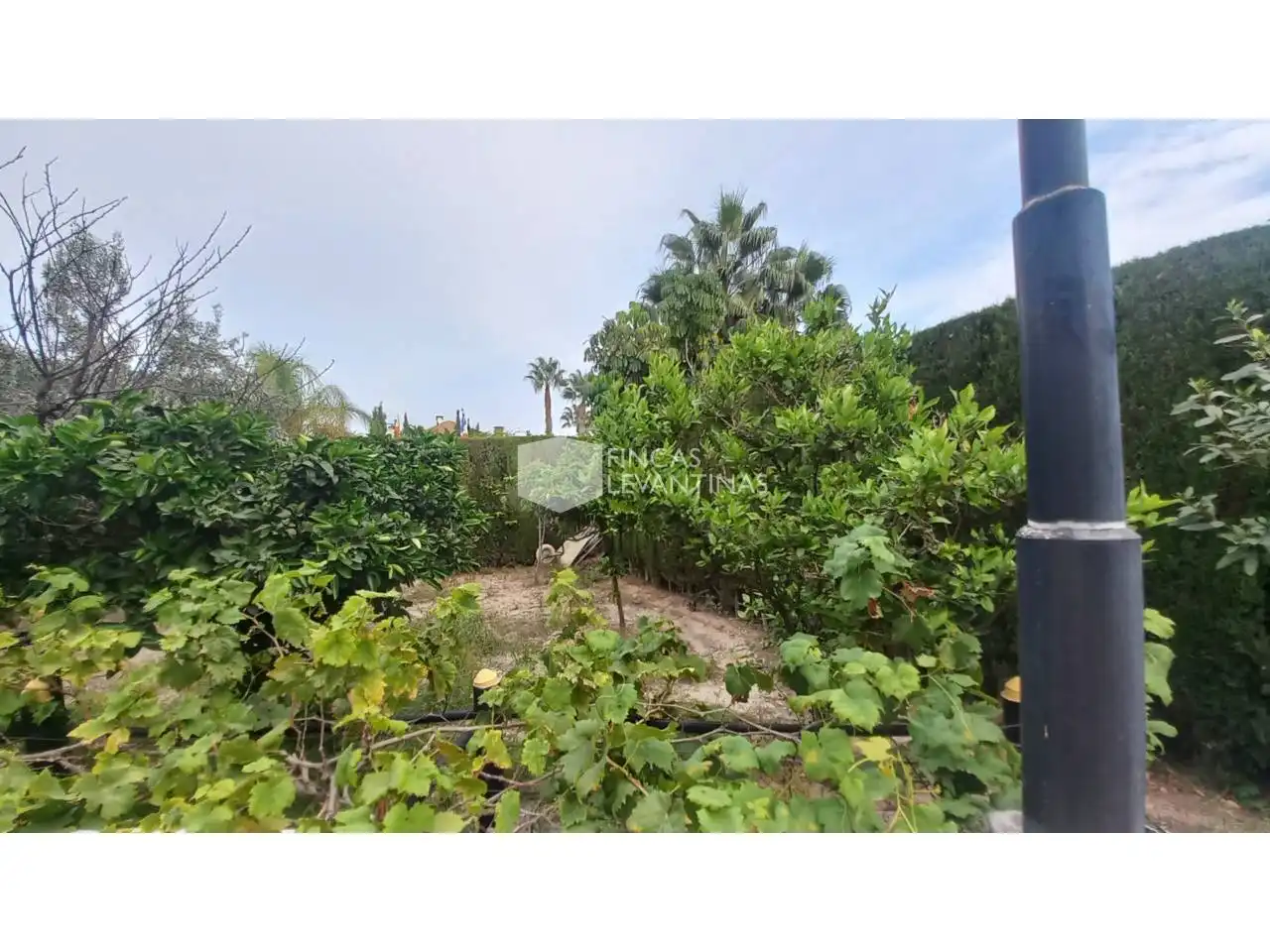 Casa o xalet en venda en San Vicente del Raspeig / Sant Vicent del Raspeig amb Aire condicionat, Jardí privat i Terrassa