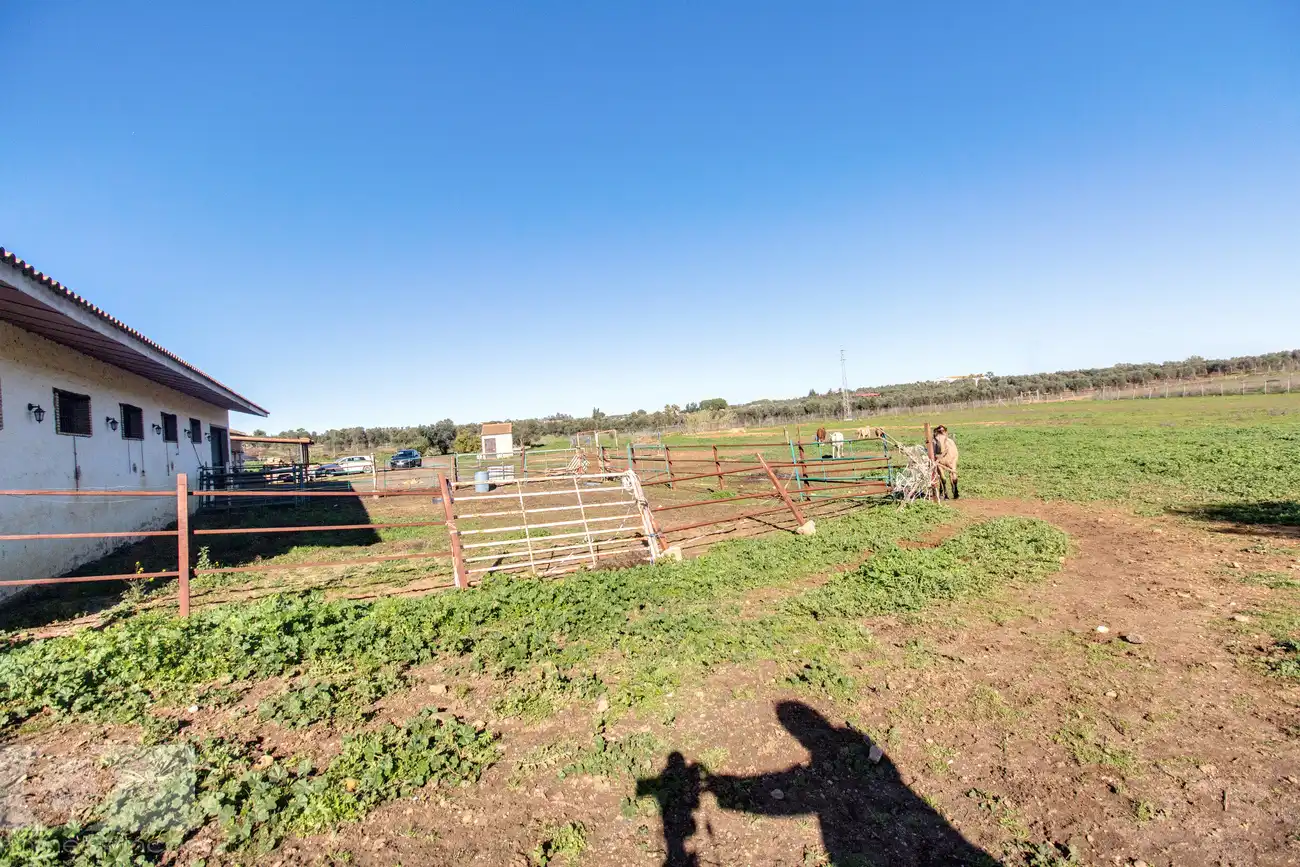 Finca rústica en venta en Trigueros