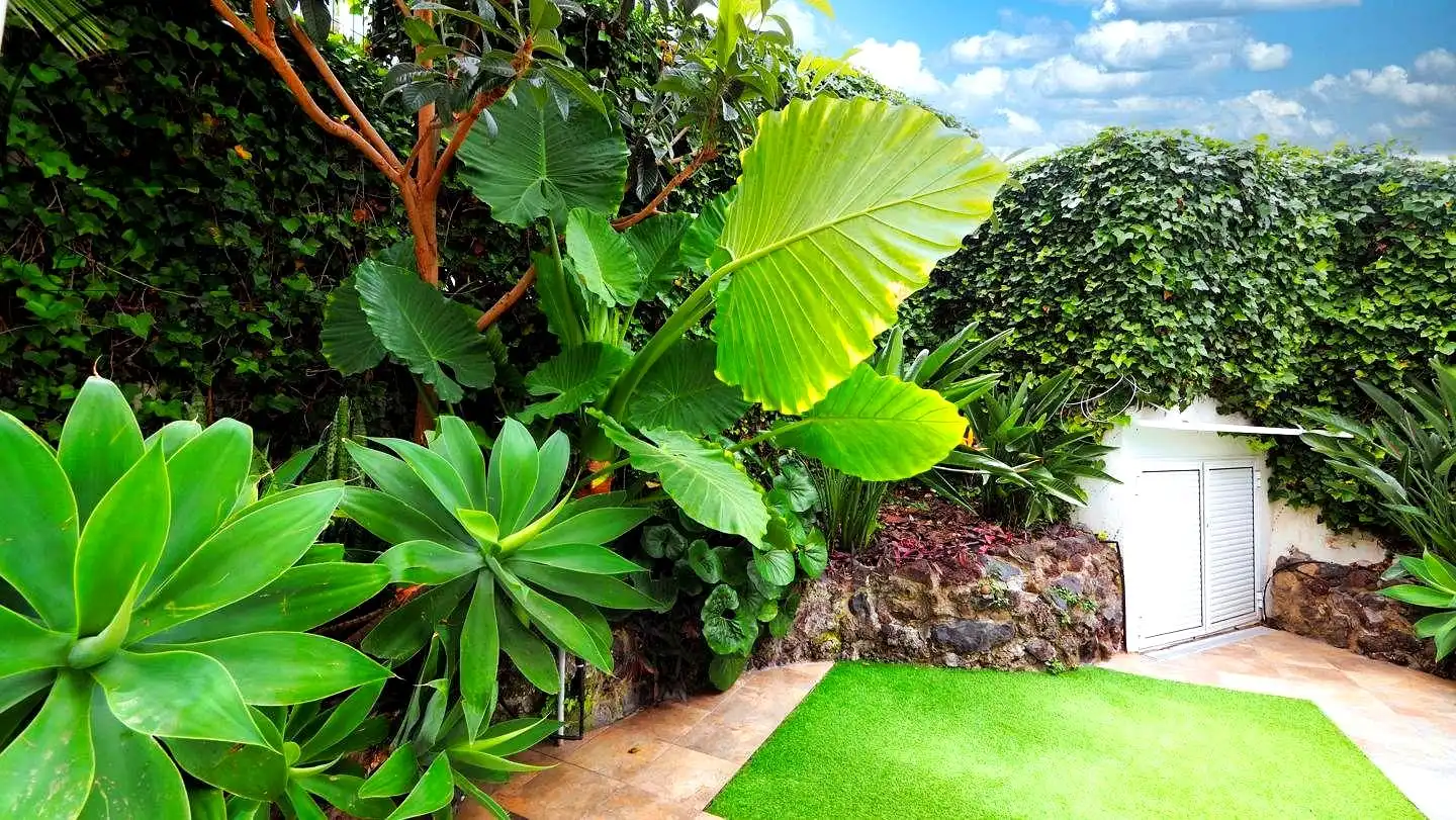 Garden of Ground floor for sale in Puerto de la Cruz  with Terrace and Furnished