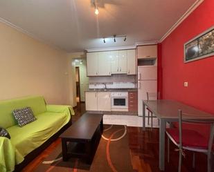 Sala d'estar de Apartament de lloguer en Vigo  amb Calefacció, Parquet i Traster