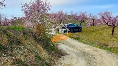 Finca Rúst. en venta en VélezRubio., immagine 3