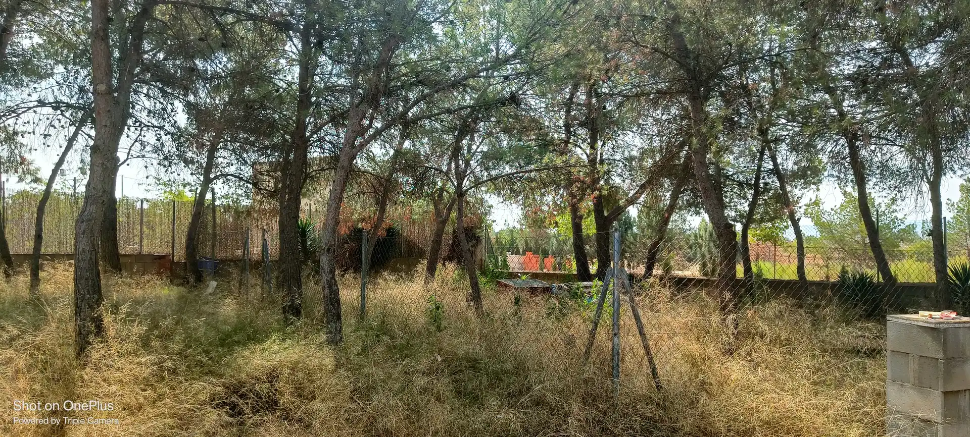 Casa o xalet en venda a Calle Aniceto Coloma, Almansa