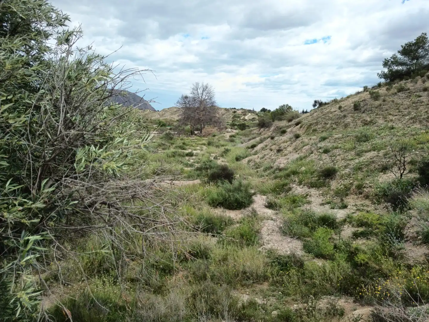 Finca rústica en venda en San Vicente del Raspeig / Sant Vicent del Raspeig