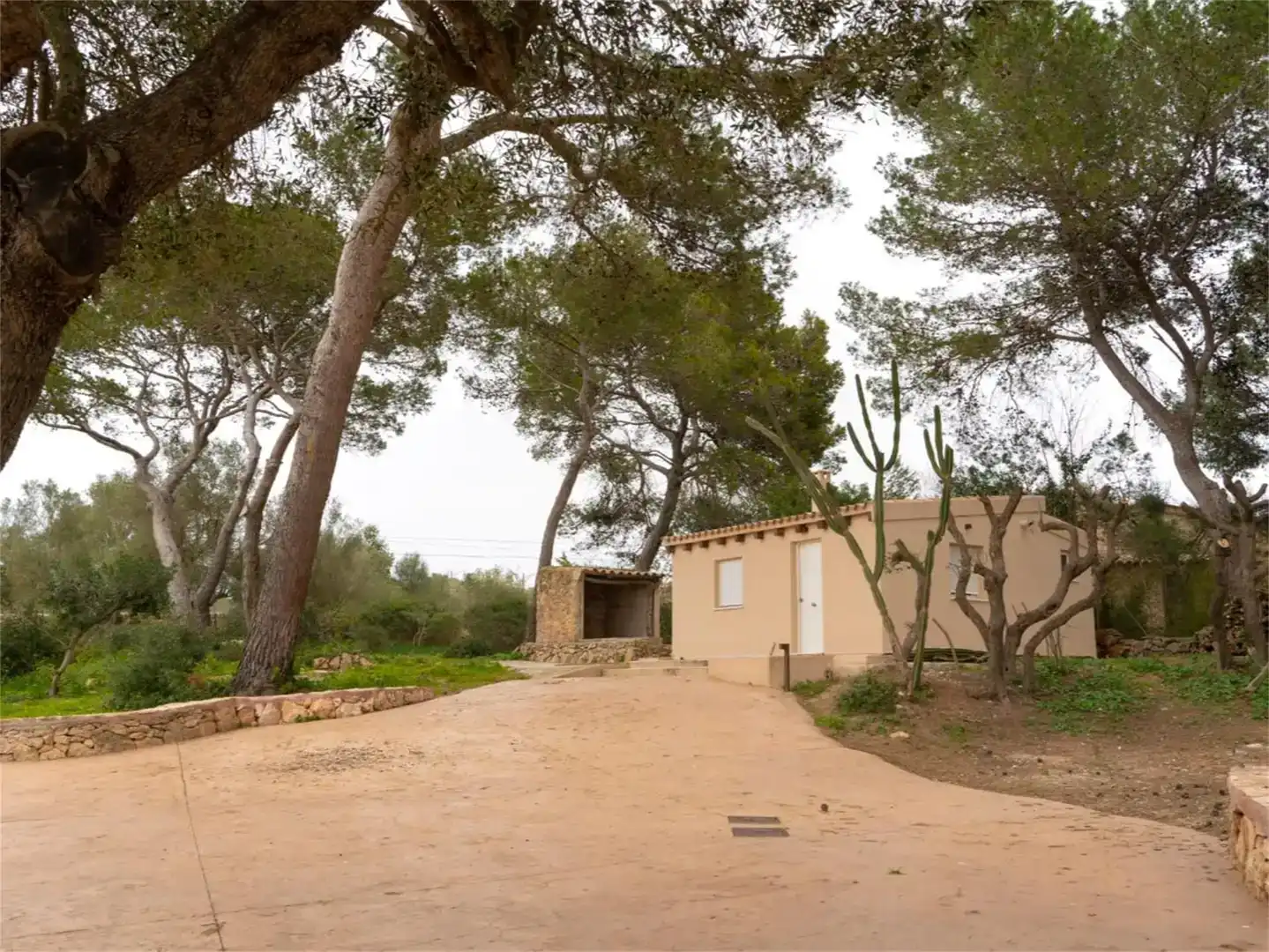 Vista exterior de Casa o xalet en venda en  Palma de Mallorca amb Aire condicionat i Piscina