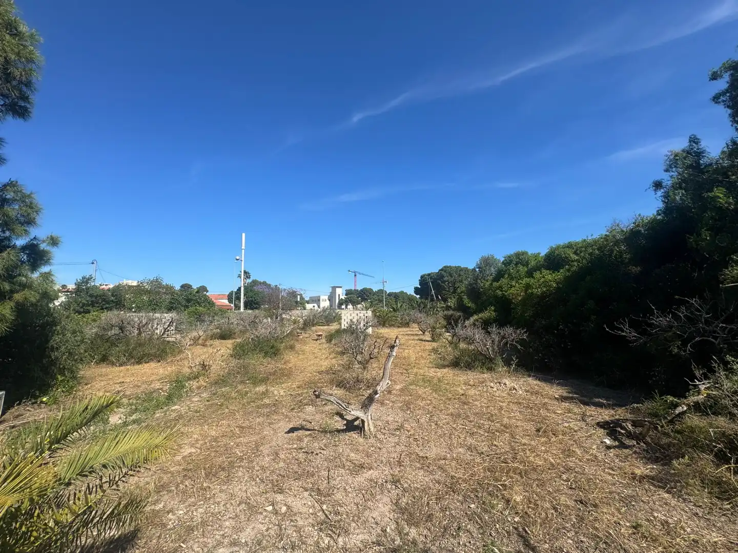 Land for sale in Sant Joan d'Alacant