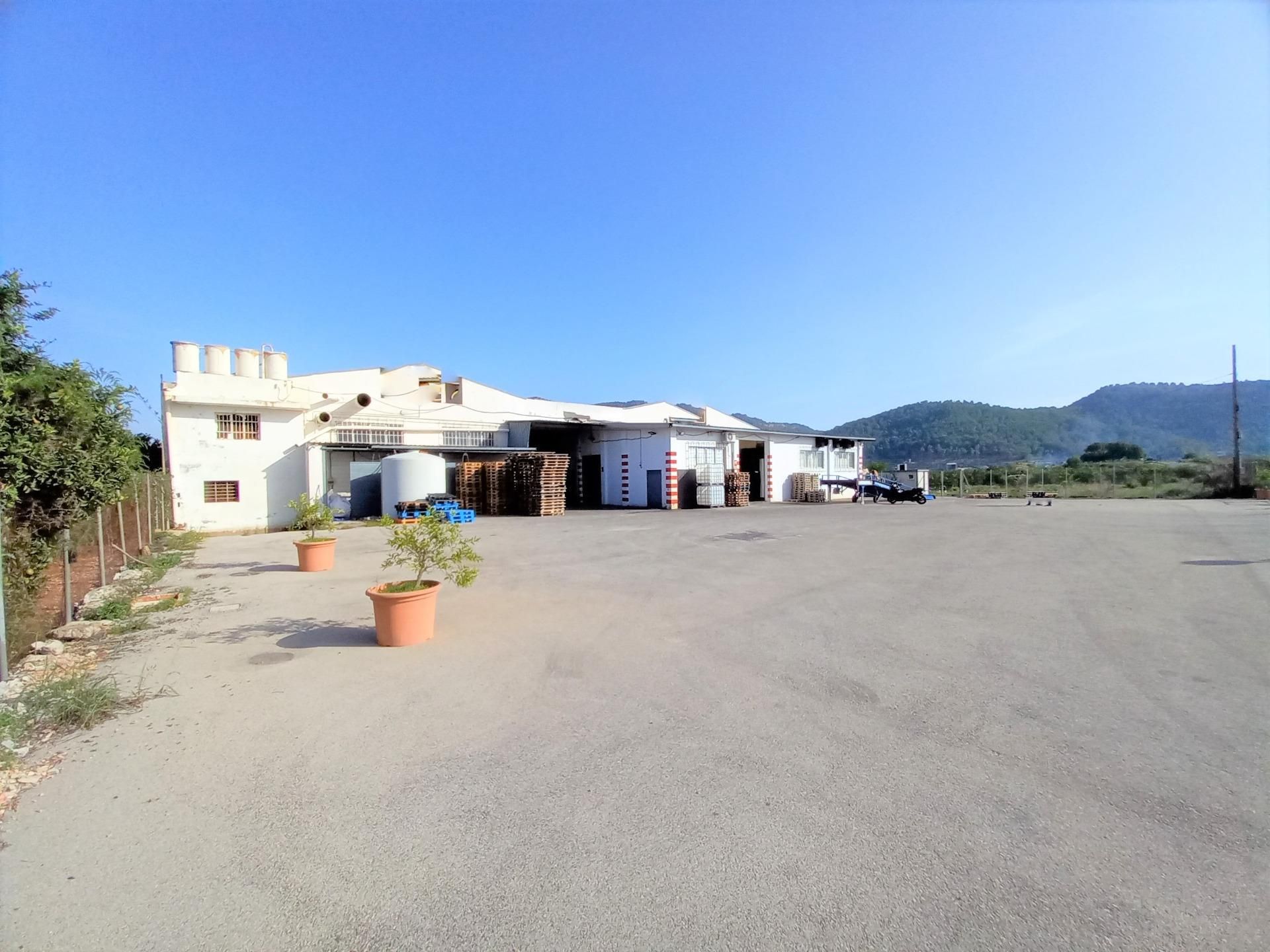 Exterior view of Industrial buildings for sale in Palma de Gandia