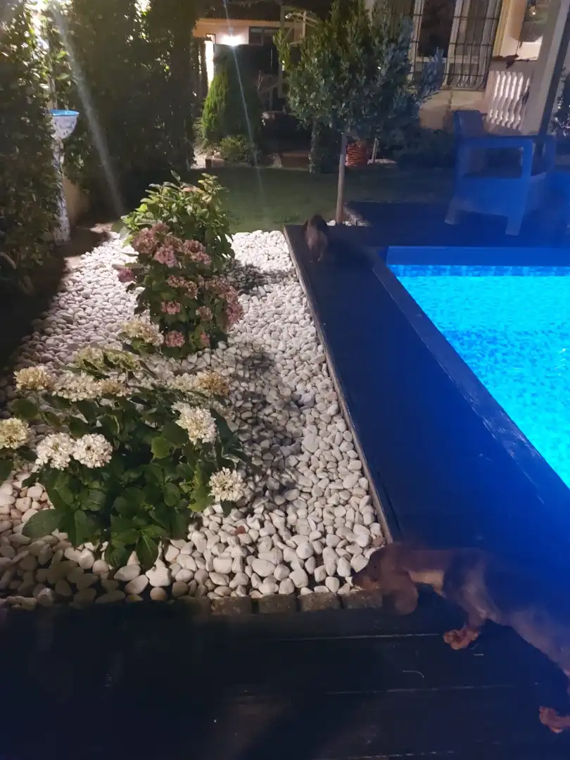 Piscina de Casa o chalet en venta en Villalbilla con Jardín privado, Terraza y Trastero