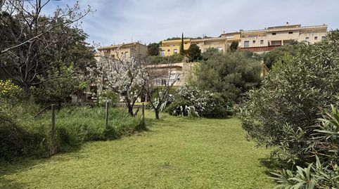 Imatge 3 de l'anunci