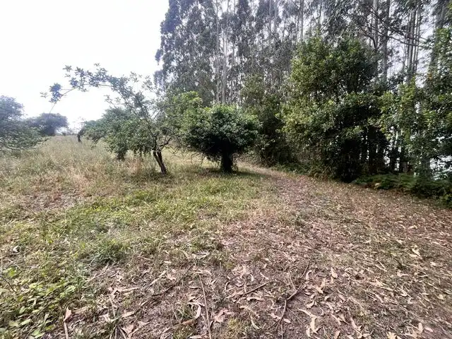 Casa rústica en venda a Quintes - Arroes, imagen 2
