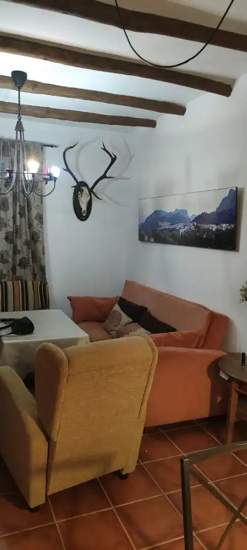Living room of Flat for sale in Montejaque