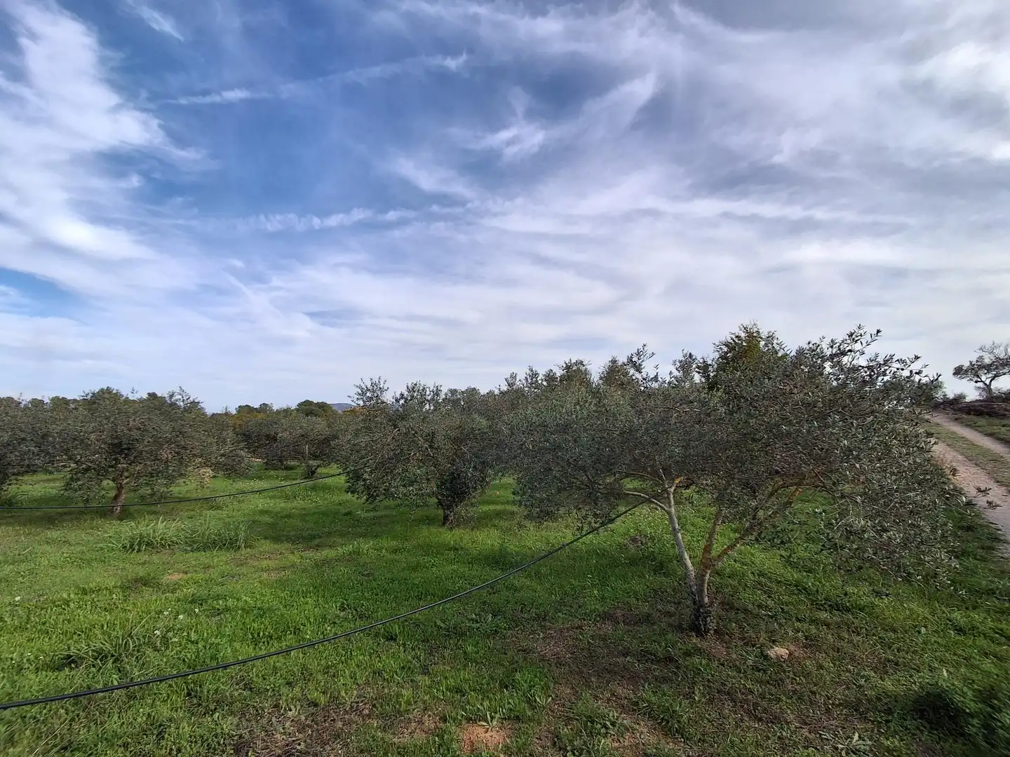 Finca rústica en venta en Rasquera