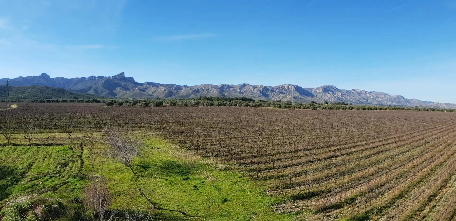 Finca rústica en venta en El Perelló con Jardín privado, Terraza y Trastero
