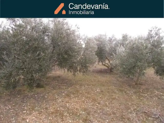 Terreno rustico in vendita a San Mateo de Gállego