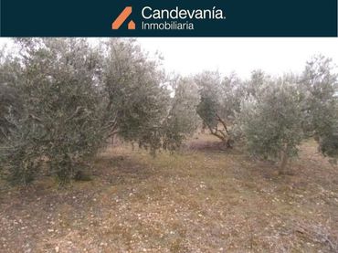 Terreno rustico in vendita a San Mateo de Gállego