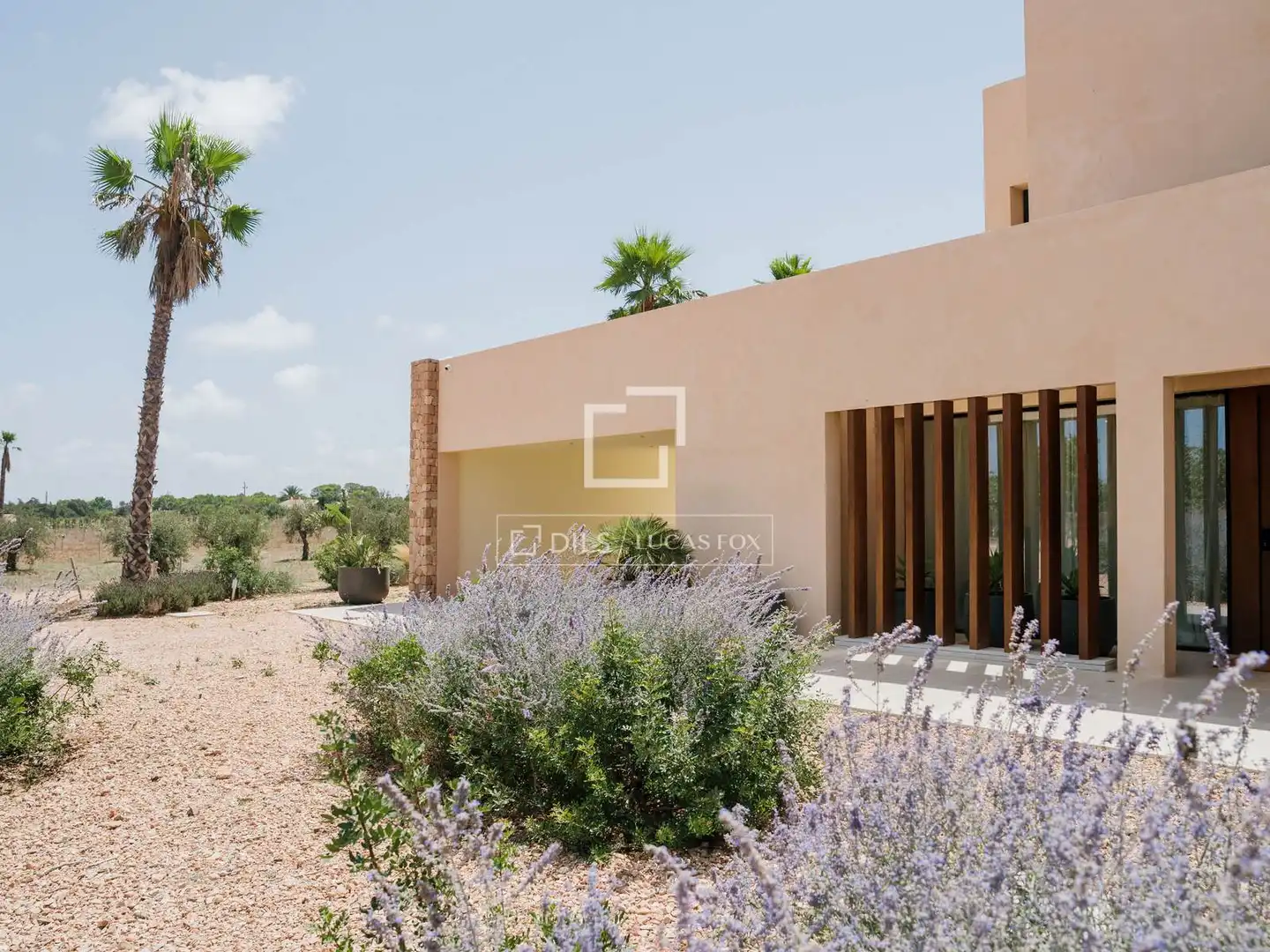 Villa avec piscine à vendre à Formentera, imagen 7