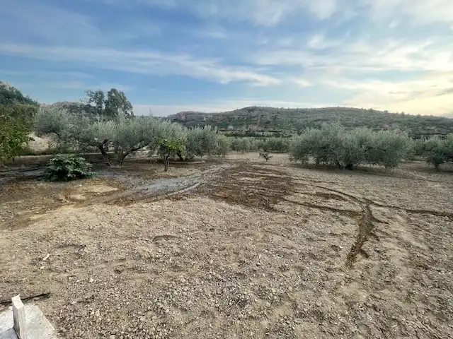 Land for sale in Pechina