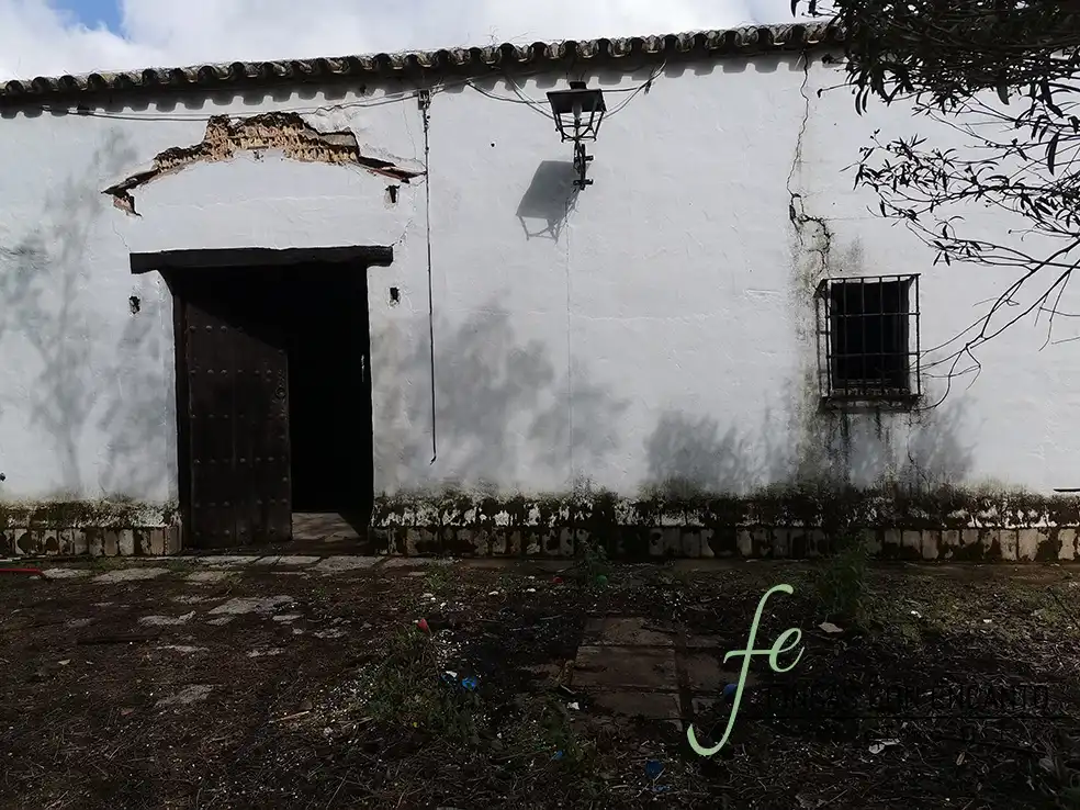 Vista exterior de Finca rústica en venda en Marchena amb Aire condicionat, Terrassa i Piscina