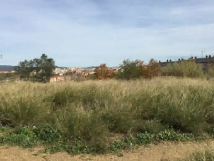 Rural land for sale in Carrer de Sant Mateu, imagen 3