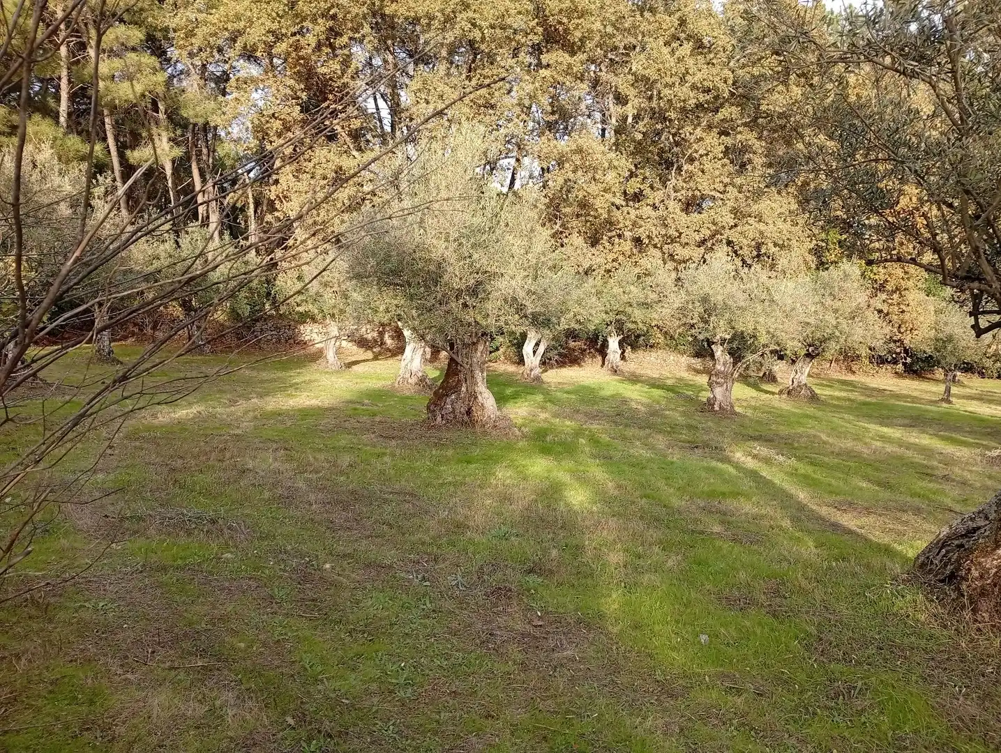 Terreni e lotti in vendita a Villanueva de la Vera, imagen 26