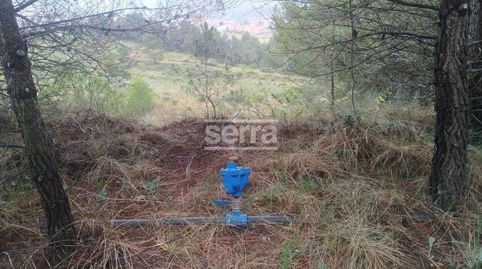 Photo 4 of Land for sale in Torrelles de Foix, Barcelona