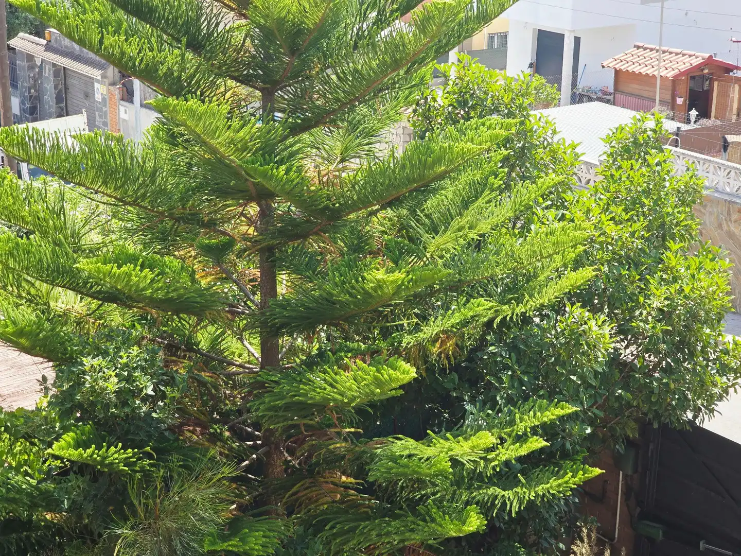 Jardín de Casa o chalet en venta en Rubí con Calefacción, Jardín privado y Parquet
