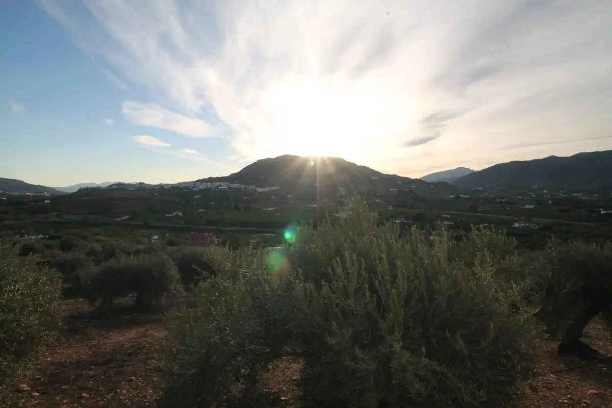 Terreny residencial en venda a Álora, imagen 8