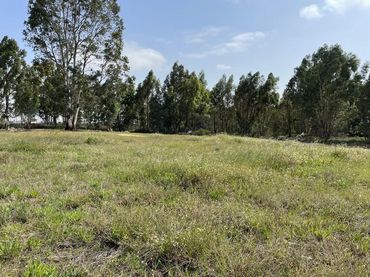 Terreno rustico in vendita a La Palma del Condado