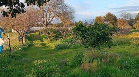 Venta de finca de 7.283M2 de terreno en PROPIEDAD,   y 2.400m2 en CONCESÓN, con  una casa de aperos  de 70m2, en Almonte Huelva