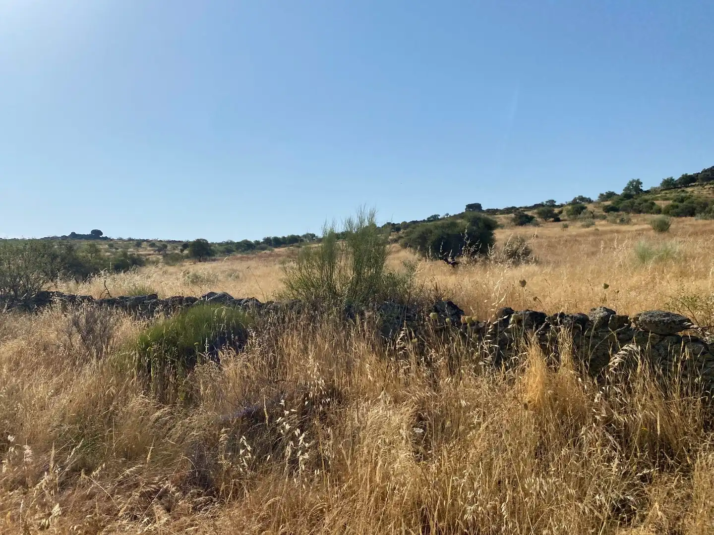 Grundstücke zum Verkauf in Aldeanueva de San Bartolomé