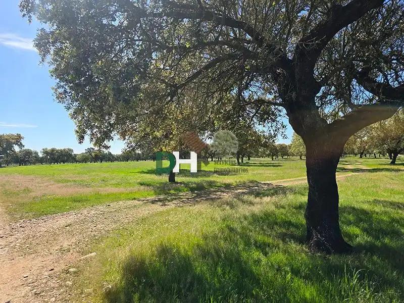 Terreni e lotti in vendita a Carretera de Sevilla - Los Montitos, imagen 2