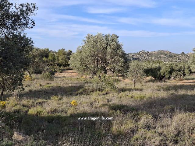 Terreno en Venta en Edificio Diseminados en Maella