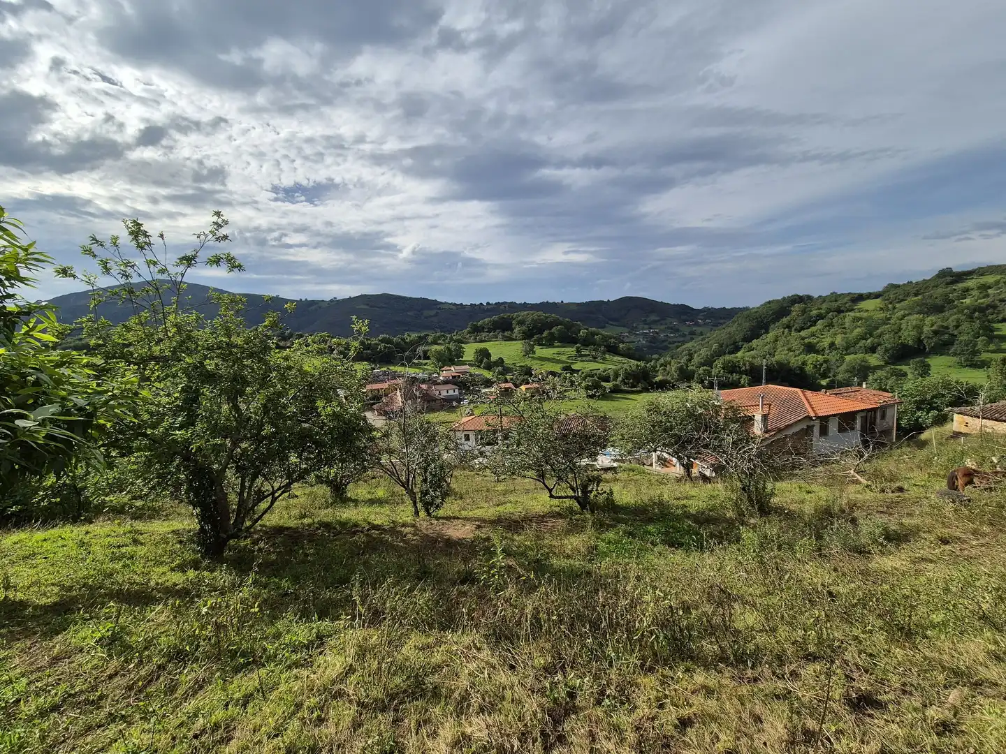 Residential land for sale in Grado, imagen 10