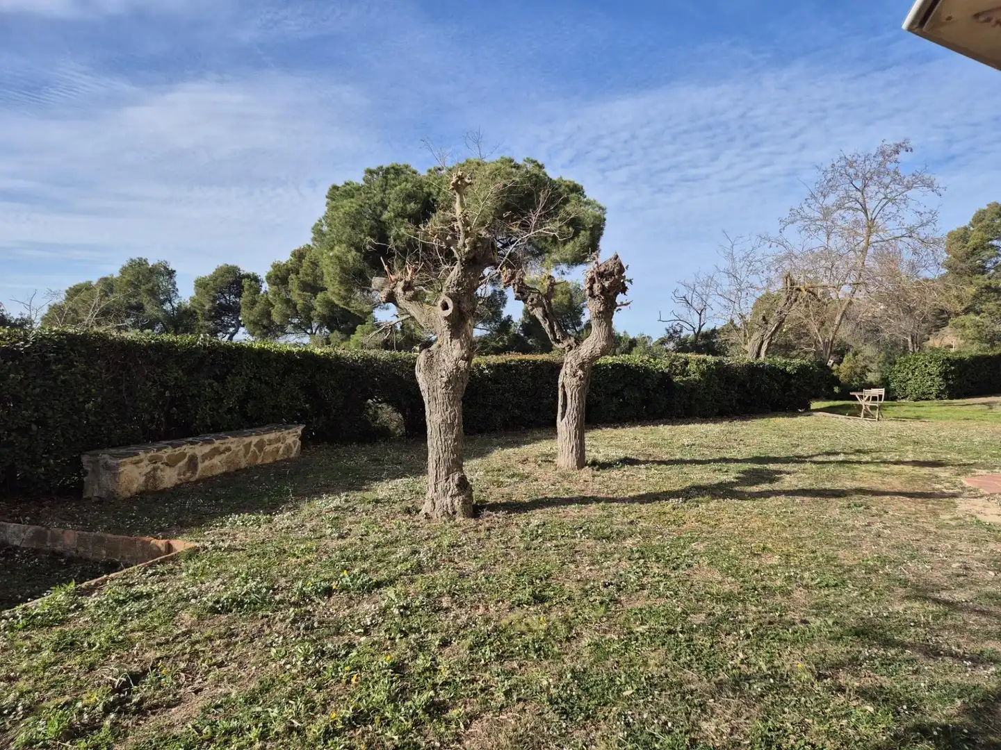 Jardí de Planta baixa en venda en Barcelona