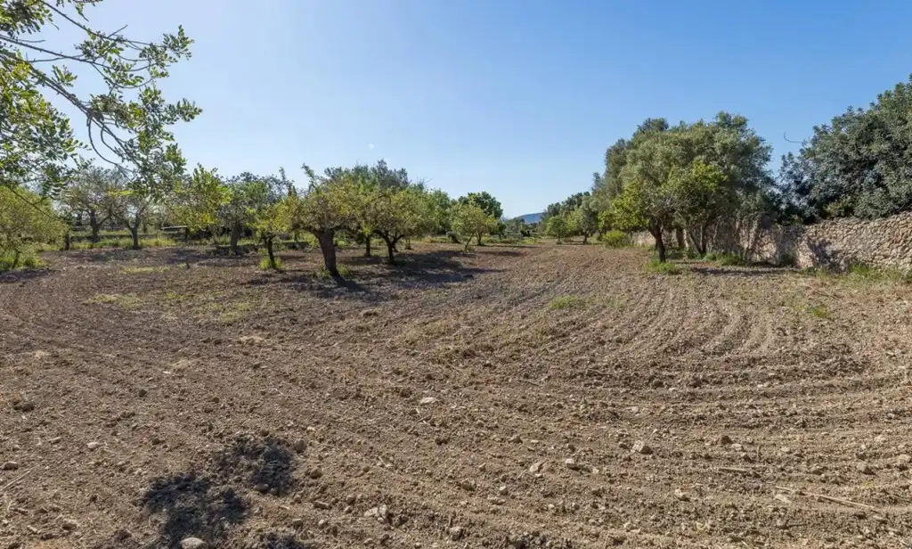 Maison rustique avec jardin à vendre à Alaró, imagen 32
