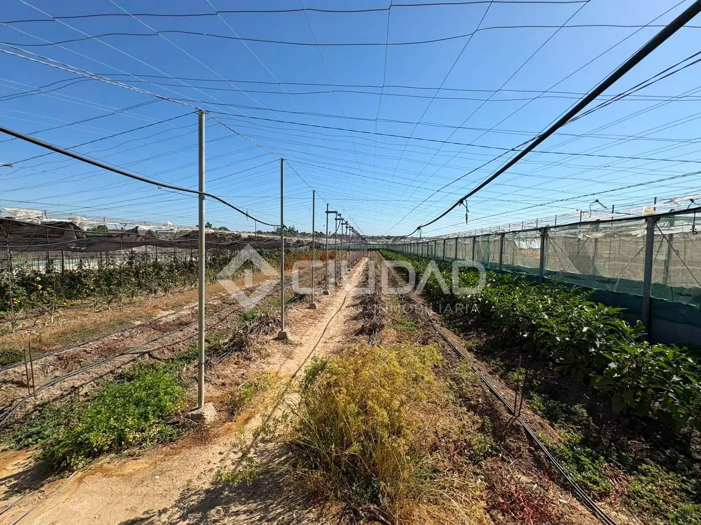 Terreno en venta en Sanlúcar de Barrameda
