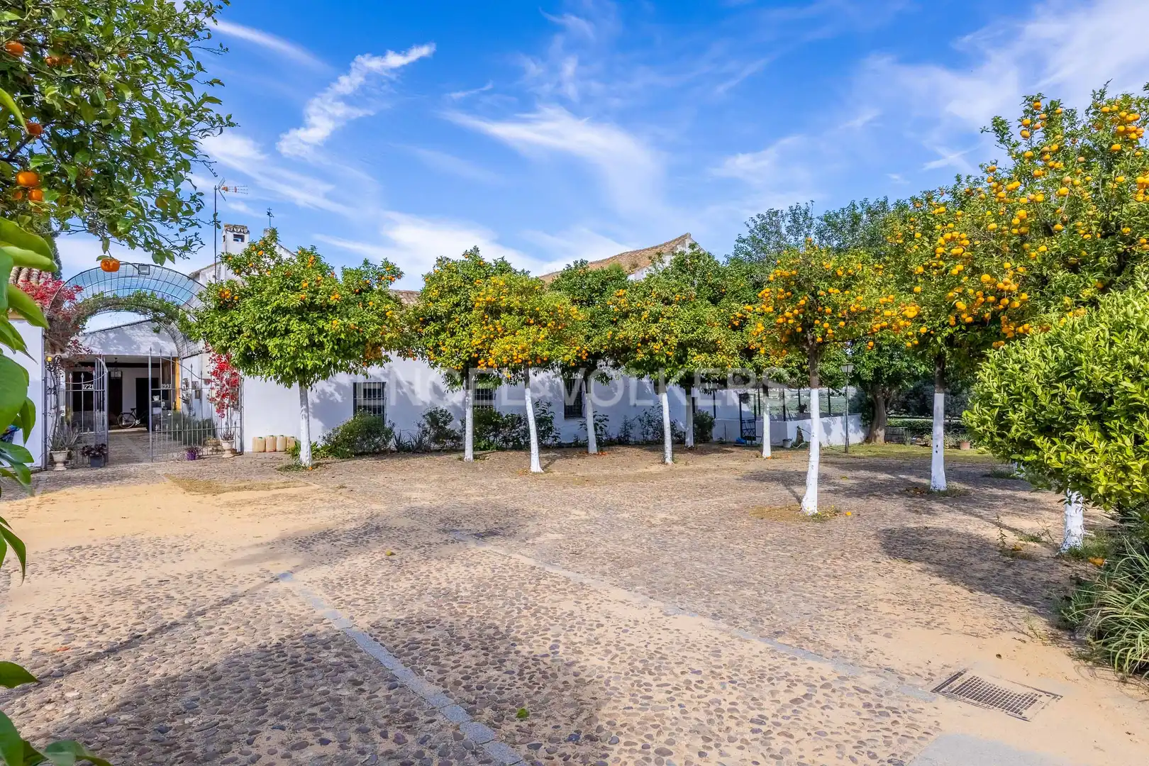 Vista exterior de Finca rústica en venda en Alcalá de Guadaira amb Calefacció, Jardí privat i Terrassa