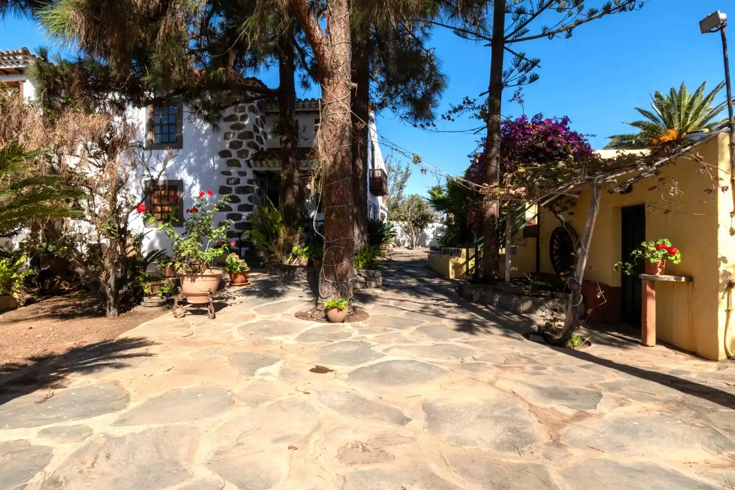 Vista exterior de Casa o xalet en venda en Santa Brígida amb Jardí privat i Terrassa