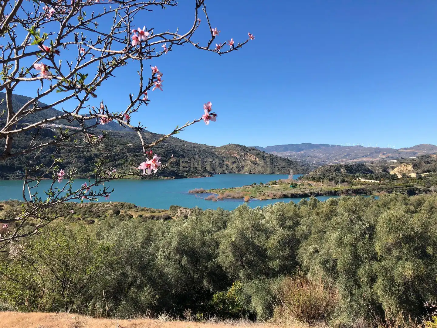 Vista exterior de Terreno en venta en Lecrín