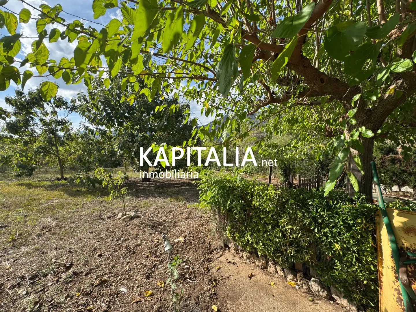 House for sale in L'Orxa / Lorcha, imagen 41