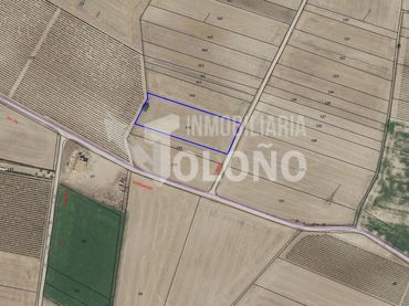 Terreny rústic en venda a Anguciana